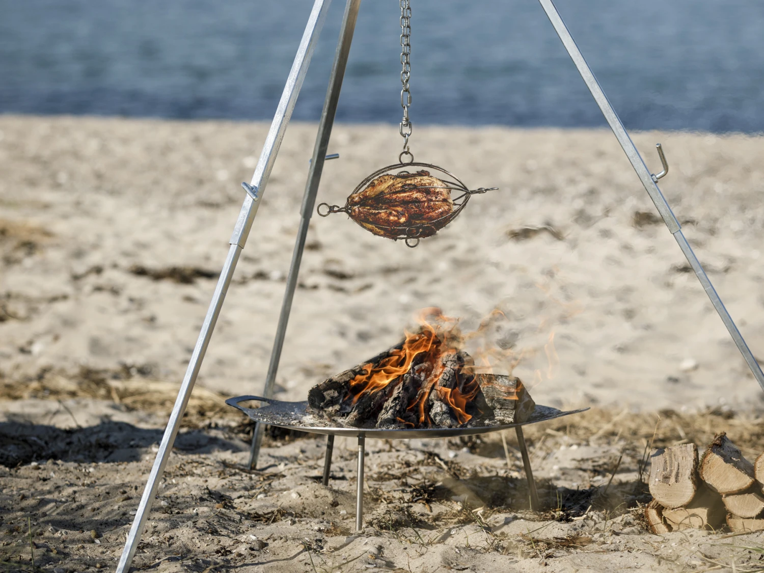 Petromax Grillmand Gevogelte - Afbeelding 6